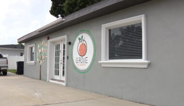 South Tampa preschool becomes first stand-alone IB preschool in Florida