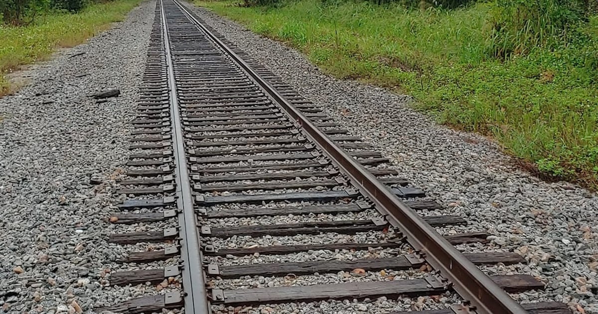 CSX Train strikes person on train tracks in Troy