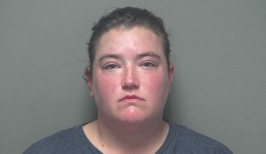 Troy woman facing charge stemming from sexual abuse investigation