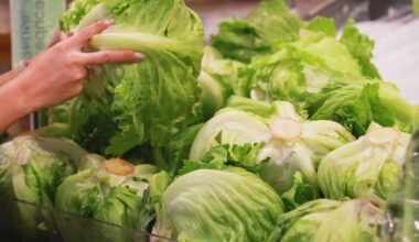 Central Florida cyclospora cases grow amid nationwide outbreak