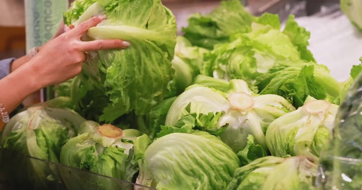 Central Florida cyclospora cases grow amid nationwide outbreak