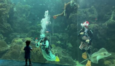 Florida Aquarium celebrates America's 250th anniversary