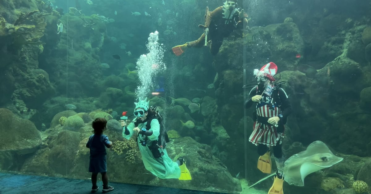Florida Aquarium celebrates America's 250th anniversary