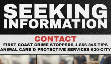 Jax ACPS is asking for helping finding the person responsible for repeatedly stabbing a dog.
