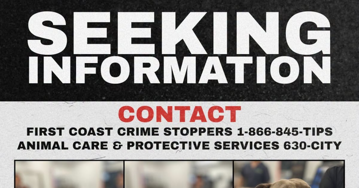 Jax ACPS is asking for helping finding the person responsible for repeatedly stabbing a dog.