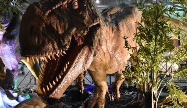 Jurassic Quest Offers Roaring Family Adventure in Jacksonville 🦖 – 104.5 WOKV