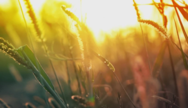 Increasing heat and humidity coming back to the Miami Valley – WHIO TV 7 and WHIO Radio