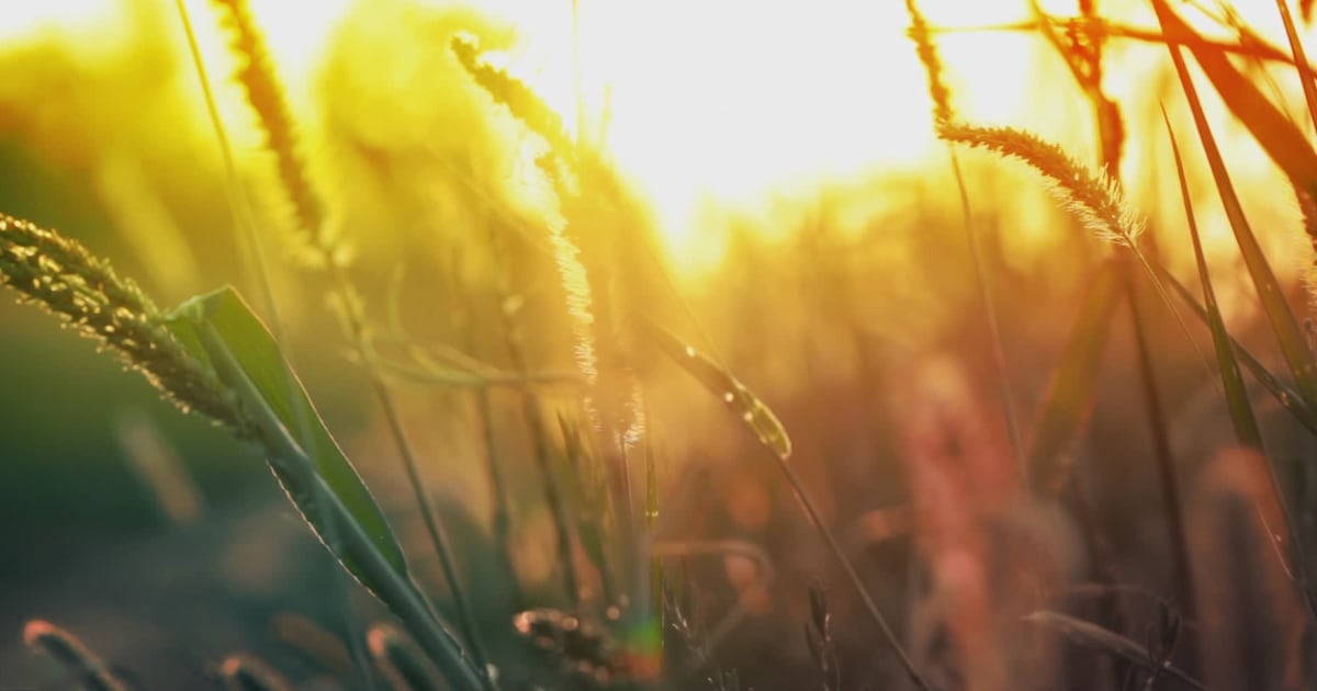 Increasing heat and humidity coming back to the Miami Valley – WHIO TV 7 and WHIO Radio