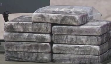 Florida authorities confiscate 132 pounds of cocaine – WPXI
