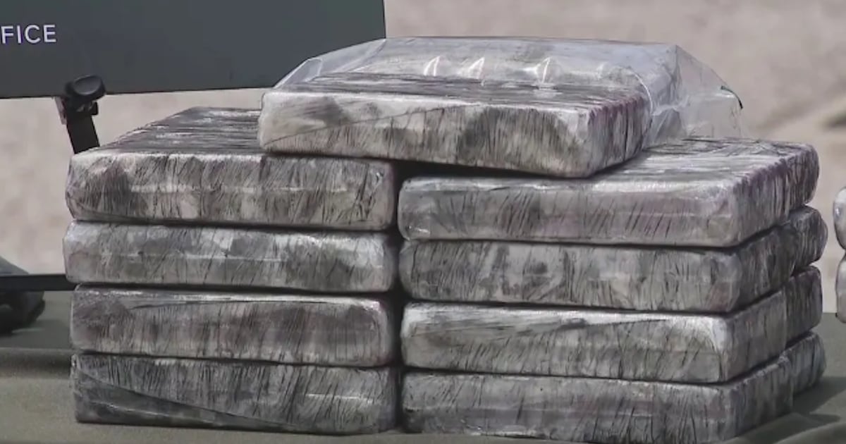 Florida authorities confiscate 132 pounds of cocaine – WPXI