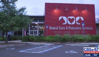 Heartworm treatment funding paused by Jacksonville group