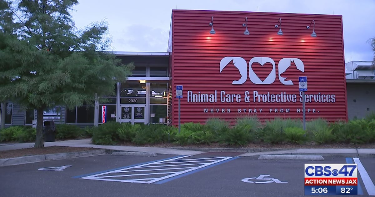 Heartworm treatment funding paused by Jacksonville group