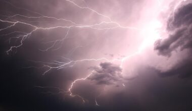 Man struck by lightning while doing yardwork in Jacksonville