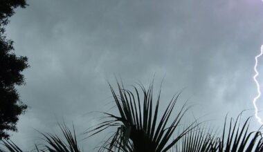 Lifeguard survives indirect lightning strike on Florida beach