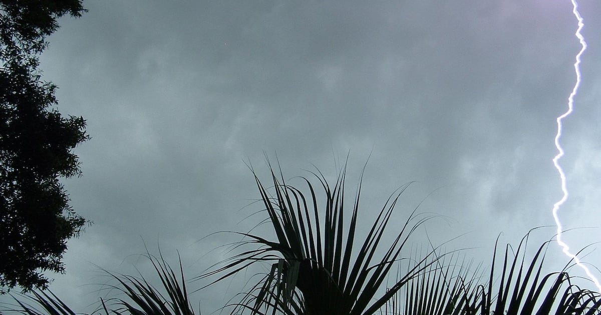 Lifeguard survives indirect lightning strike on Florida beach