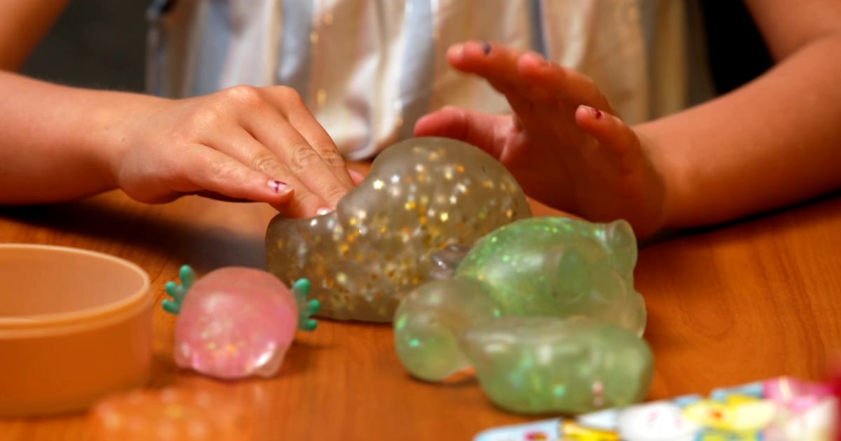Parents warned about popular squishy toy trend – WFTV