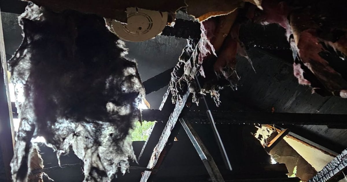 Lightning-caused fire displaces family in Orlando