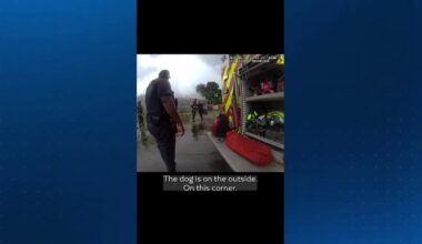 Ocoee house fire: Teamwork saves family pet