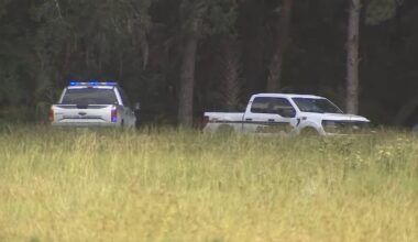 DNA confirms 13-foot alligator killed Orlando woman