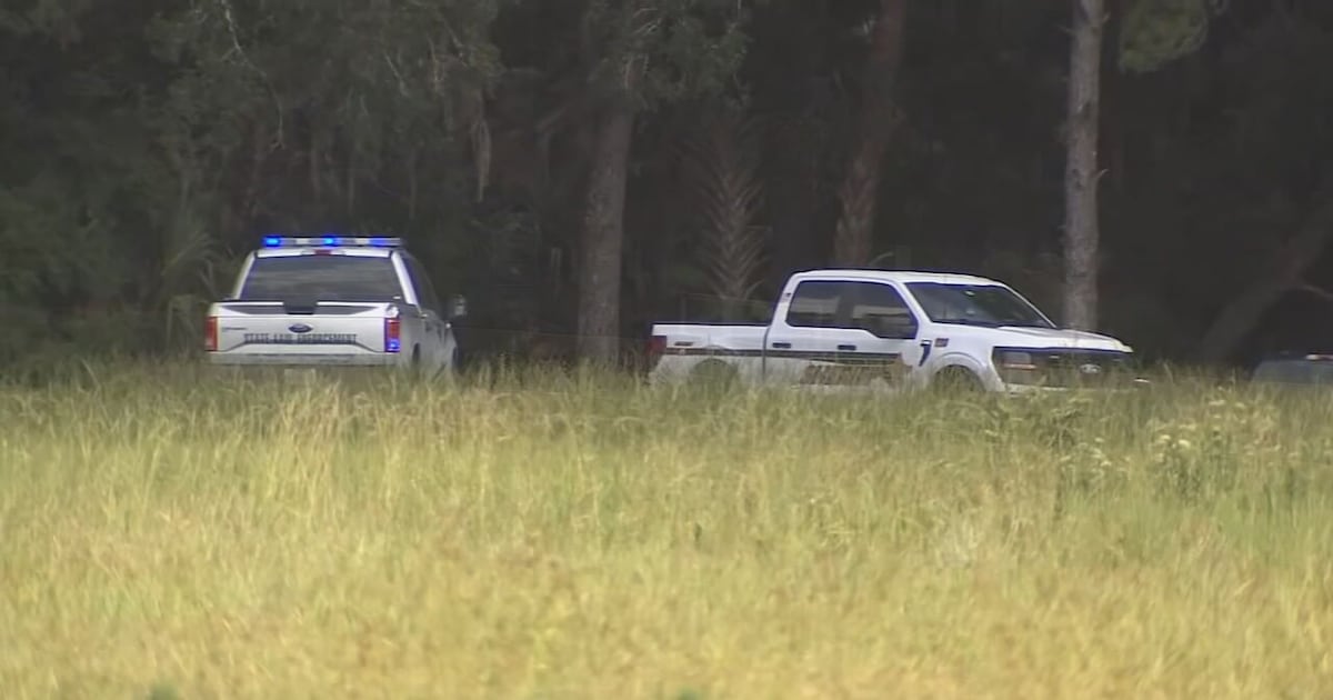 DNA confirms 13-foot alligator killed Orlando woman