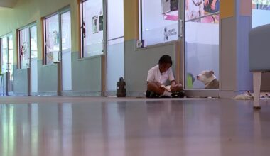 Jacksonville student logs 100 hours reading to pets