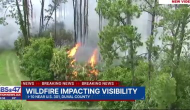 Brush fire sparks on I-10 near US-301