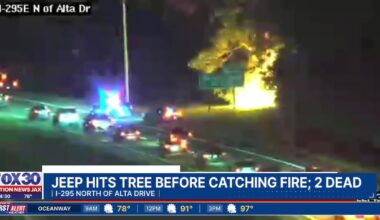 Woman, 3-year-old boy die in fiery I-295 crash in Jacksonville – Action News Jax