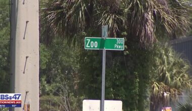 Safety concerns about Zoo Parkway continue after deadly crash