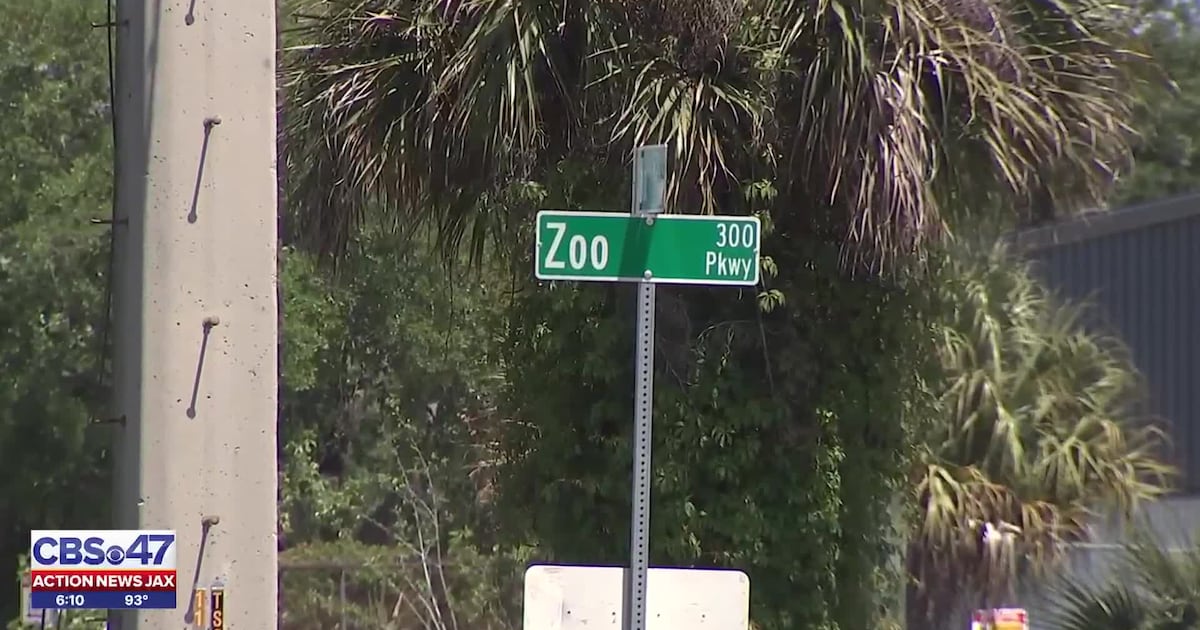 Safety concerns about Zoo Parkway continue after deadly crash