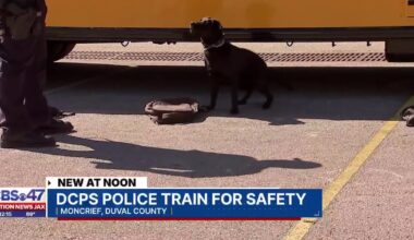 DCPS police dogs train for campus safety