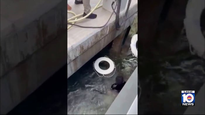 Swimmer dives into Miami River to rescue struggling man