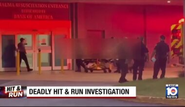 MDSO: Man killed in hit-and-run in northwest Miami-Dade; driver sought