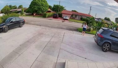 Man injured while trying to protect small dog from larger dog in Hialeah, police say