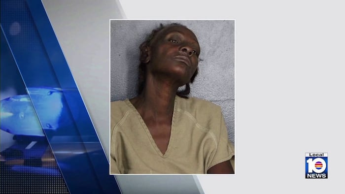 Homeless woman faces charges after her 3 dogs die in Broward