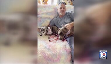 Maryland man reunited with late father’s dog after it showed up in Hollywood