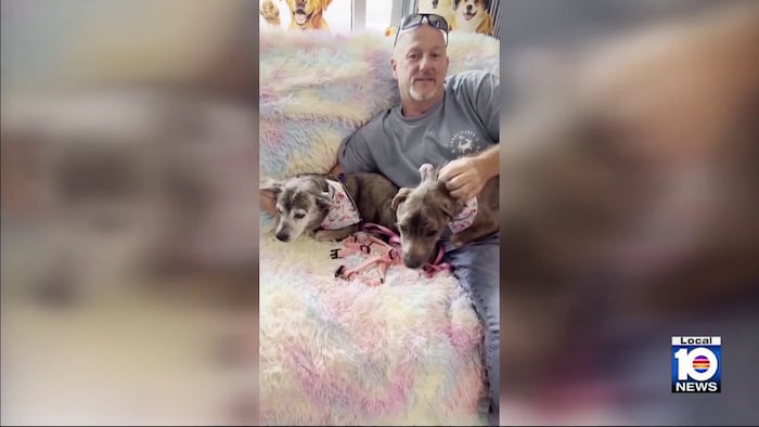 Maryland man reunited with late father’s dog after it showed up in Hollywood