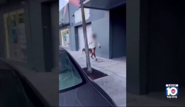 Man seeks justice after alleged Wynwood attack leaves him, dog seriously injured