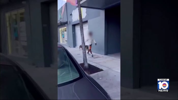 Man seeks justice after alleged Wynwood attack leaves him, dog seriously injured
