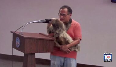 Shut down in New York, exhibitor’s planned South Florida sloth encounter gets pushback: ‘Tone-deaf’