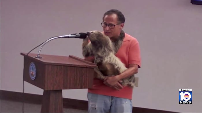 Shut down in New York, exhibitor’s planned South Florida sloth encounter gets pushback: ‘Tone-deaf’