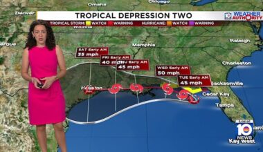 Tropical Depression 2 forecast to strengthen into tropical storm; threatens Florida Panhandle