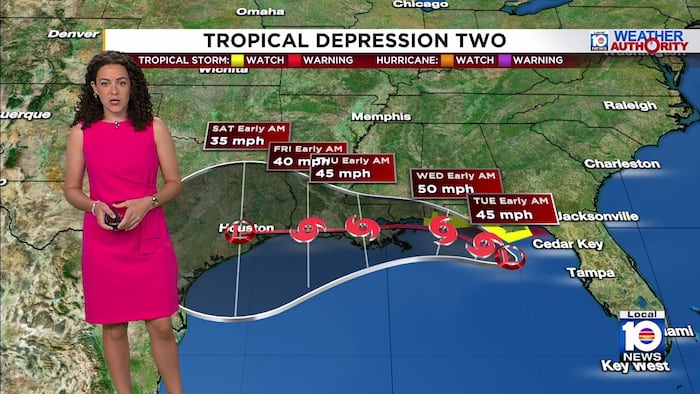 Tropical Depression 2 forecast to strengthen into tropical storm; threatens Florida Panhandle