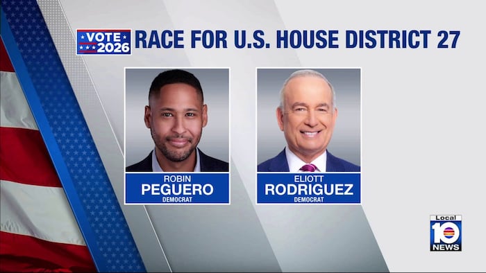 Democratic candidates for District 27 discuss reasons for running, plans if elected