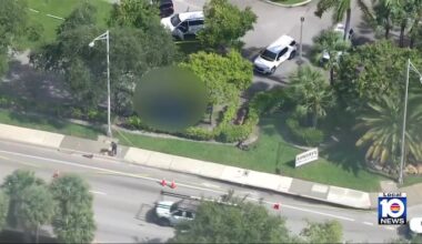 Investigation continues after man's body found in Fort Lauderdale after hit-and-run