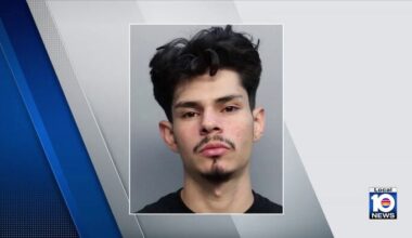 Man turns himself in after multiple vehicle burglaries reported in Miami-Dade, deputies say