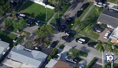 Stolen car chase ends in guns-drawn standoff after crash involving two police cruisers