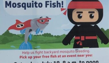 Florida reports 5 additional dengue cases in past week