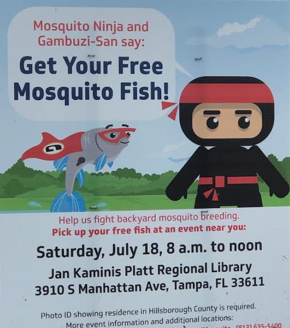 Florida reports 5 additional dengue cases in past week