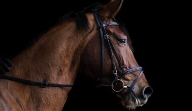 Florida: 3rd Eastern Equine Encephalitis case reported in Osceola County horse