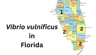 Florida Vibrio vulnificus cases rise to 10 this year with additional case reported in Lee County